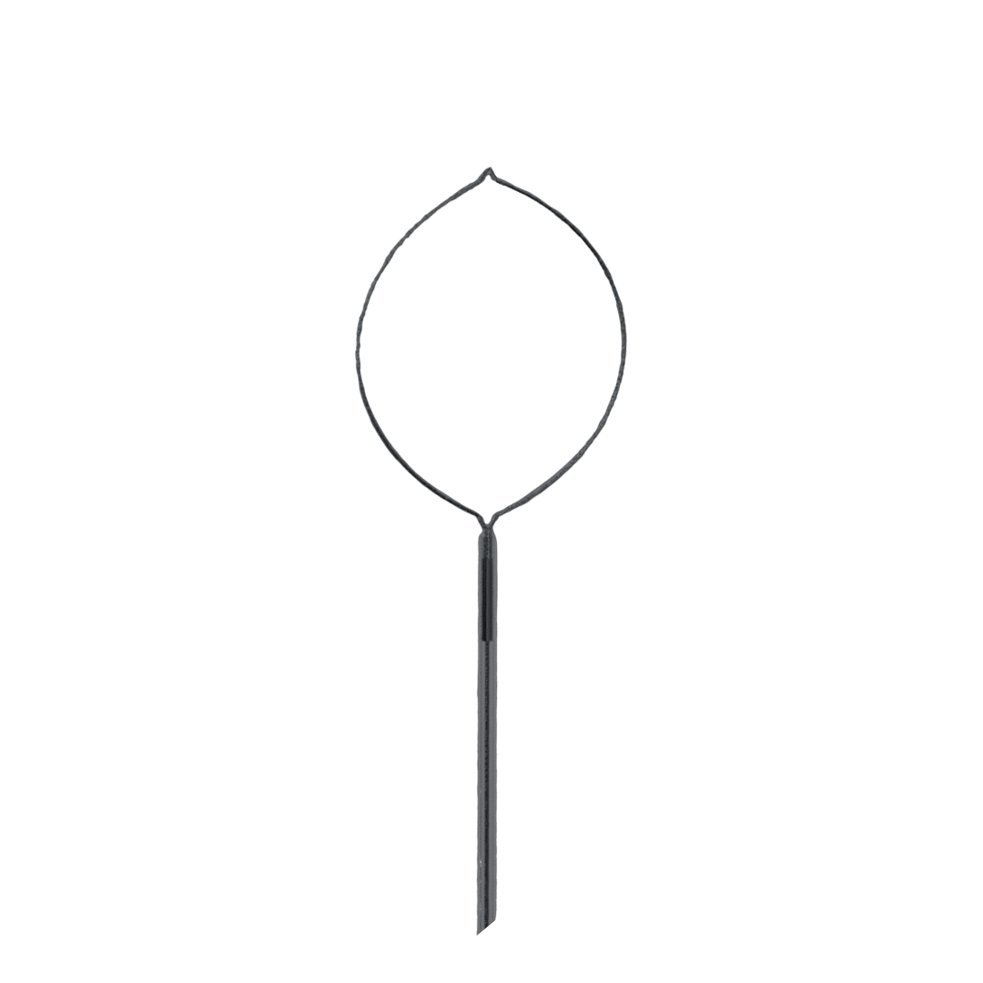 Asa de polipectomía - Image 2